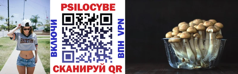 Галлюциногенные грибы Magic Shrooms  Купить где  Мурманск 